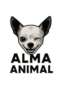 chatgpt image 4 sept 2025, 16 51 17 photoroom